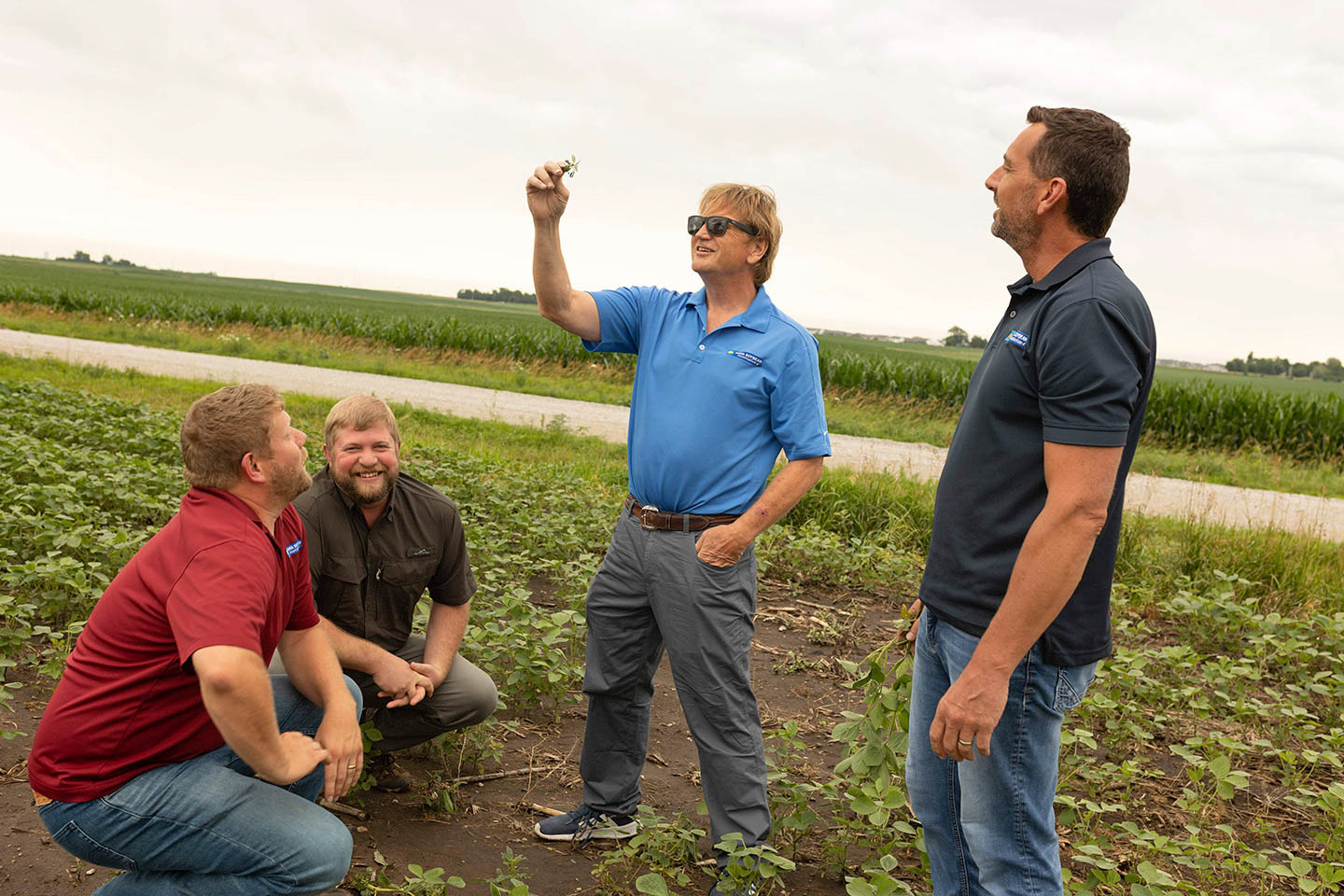 Meet the ISA team of agronomists